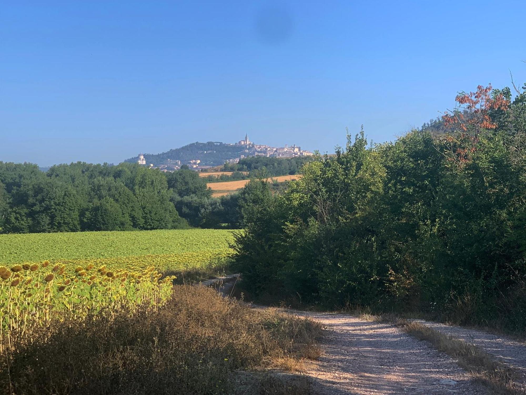 San Martino Apartment Todi